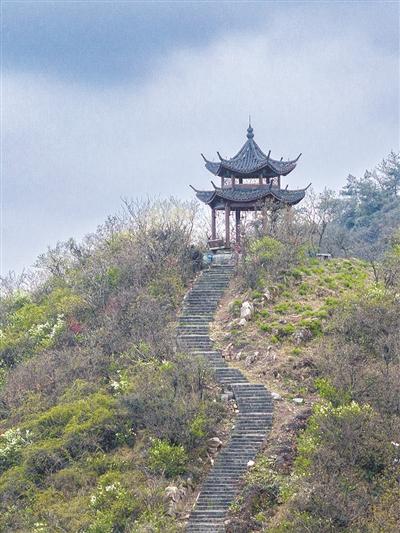 巍巍皋亭杭州靠山800年前杭州人的赏桃天花板